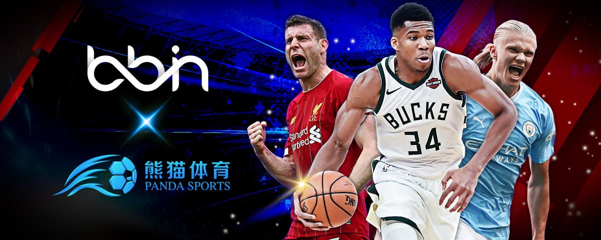 入网窝